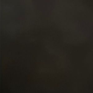 Meet your Posher, DJ